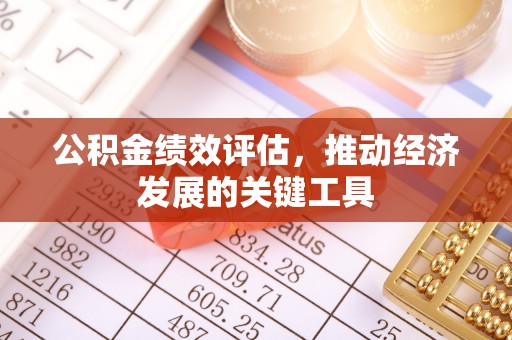 阿克塞公积金绩效评估，推动经济发展的关键工具