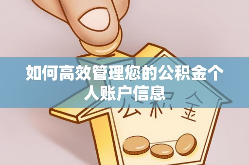 阿克塞如何高效管理您的公积金个人账户信息