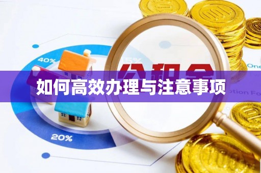 阿克塞如何高效办理与注意事项