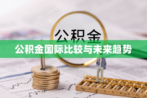 阿克塞公积金国际比较与未来趋势