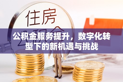 阿克塞公积金服务提升，数字化转型下的新机遇与挑战