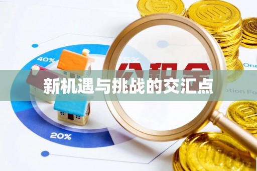 阿克塞新机遇与挑战的交汇点
