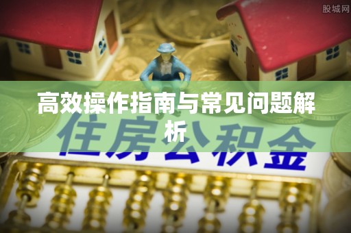 阿克塞高效操作指南与常见问题解析
