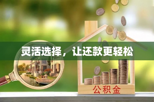 阿克塞灵活选择，让还款更轻松