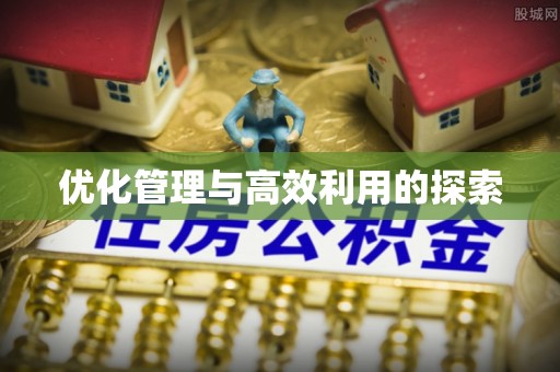 阿克塞优化管理与高效利用的探索