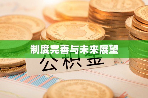 阿克塞制度完善与未来展望