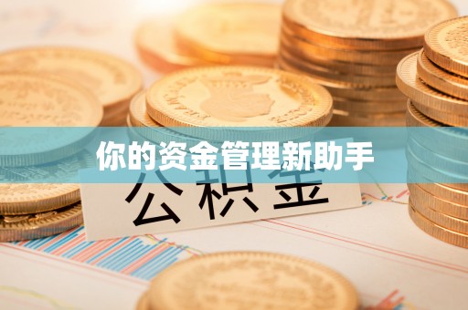 阿克塞你的资金管理新助手