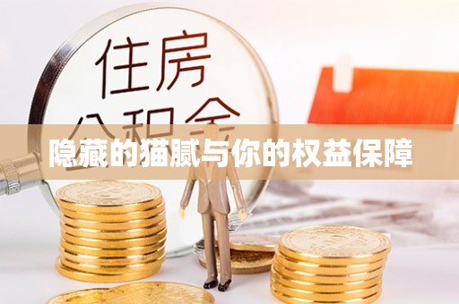 阿克塞隐藏的猫腻与你的权益保障