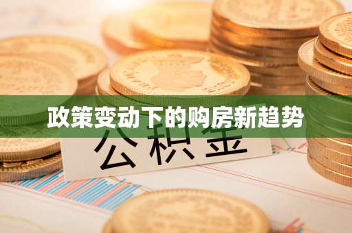 阿克塞政策变动下的购房新趋势