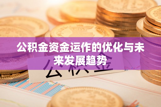 阿克塞公积金资金运作的优化与未来发展趋势