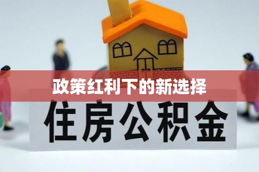 阿克塞政策红利下的新选择