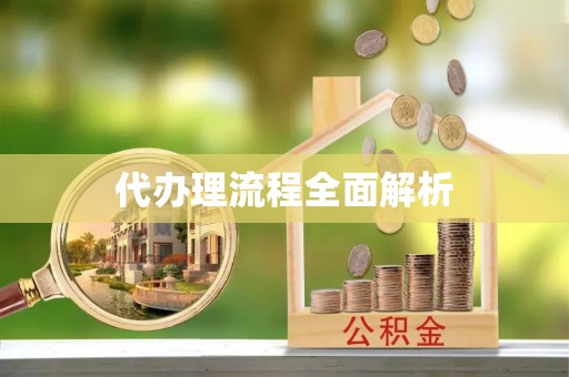 阿克塞代办理流程全面解析