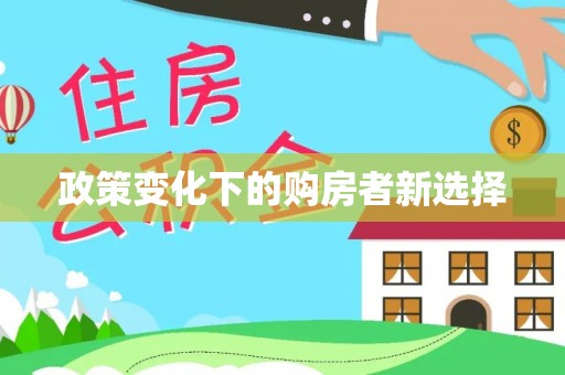 阿克塞政策变化下的购房者新选择