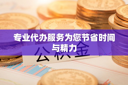 阿克塞专业代办服务为您节省时间与精力