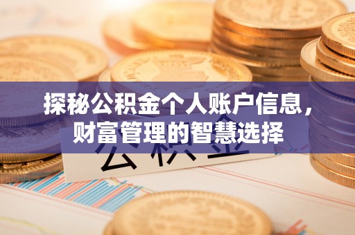 阿克塞探秘公积金个人账户信息，财富管理的智慧选择