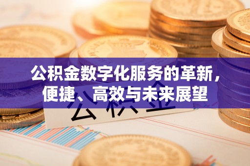 阿克塞公积金数字化服务的革新，便捷、高效与未来展望