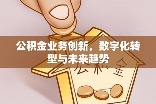 阿克塞公积金业务创新，数字化转型与未来趋势
