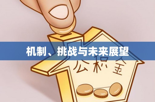 阿克塞机制、挑战与未来展望