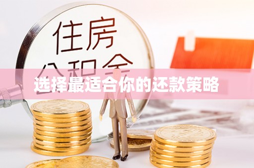 阿克塞选择最适合你的还款策略